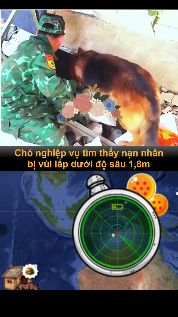 test  dff df f fdff df